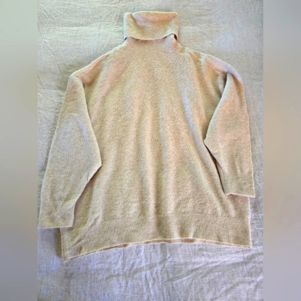 Zara Turtleneck Sweater